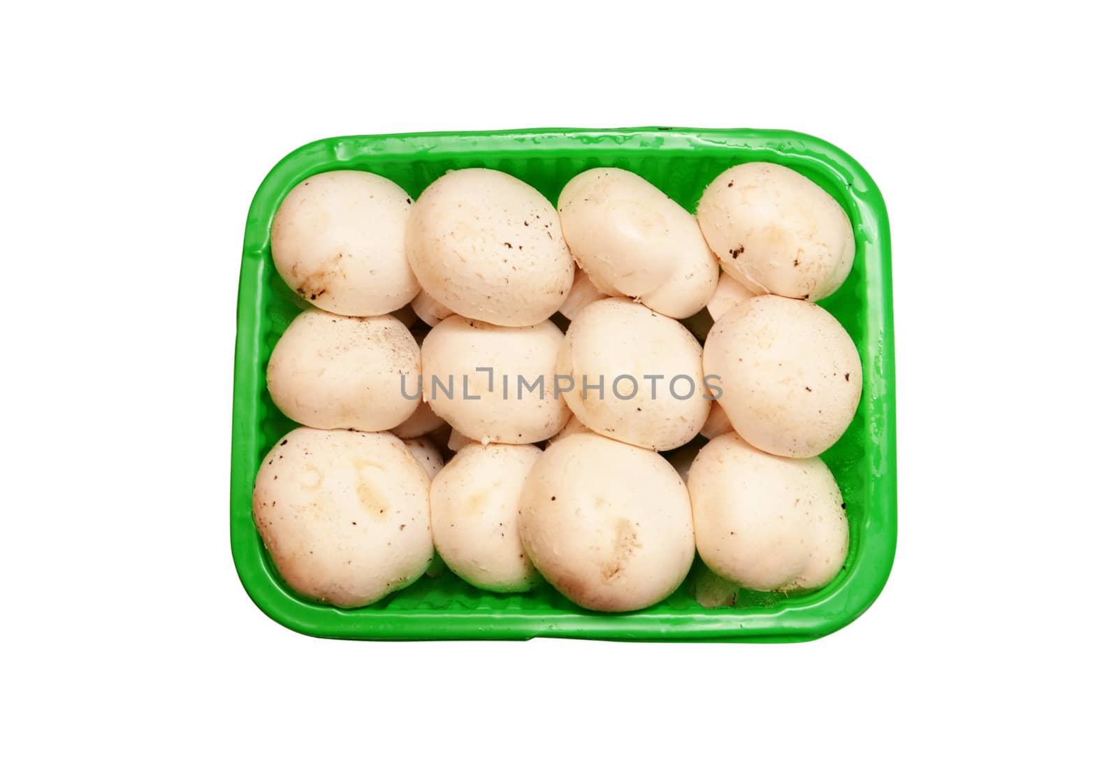 fresh mushrooms isolated on white background 