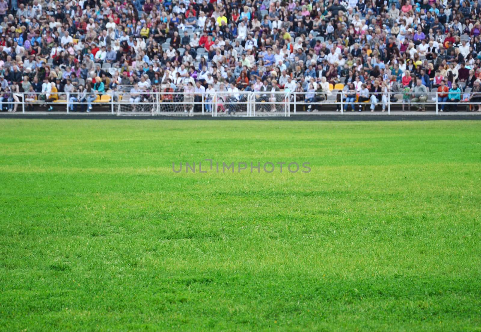 celebration on the green grass