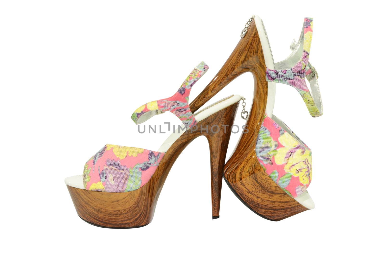 women shoes  on white background