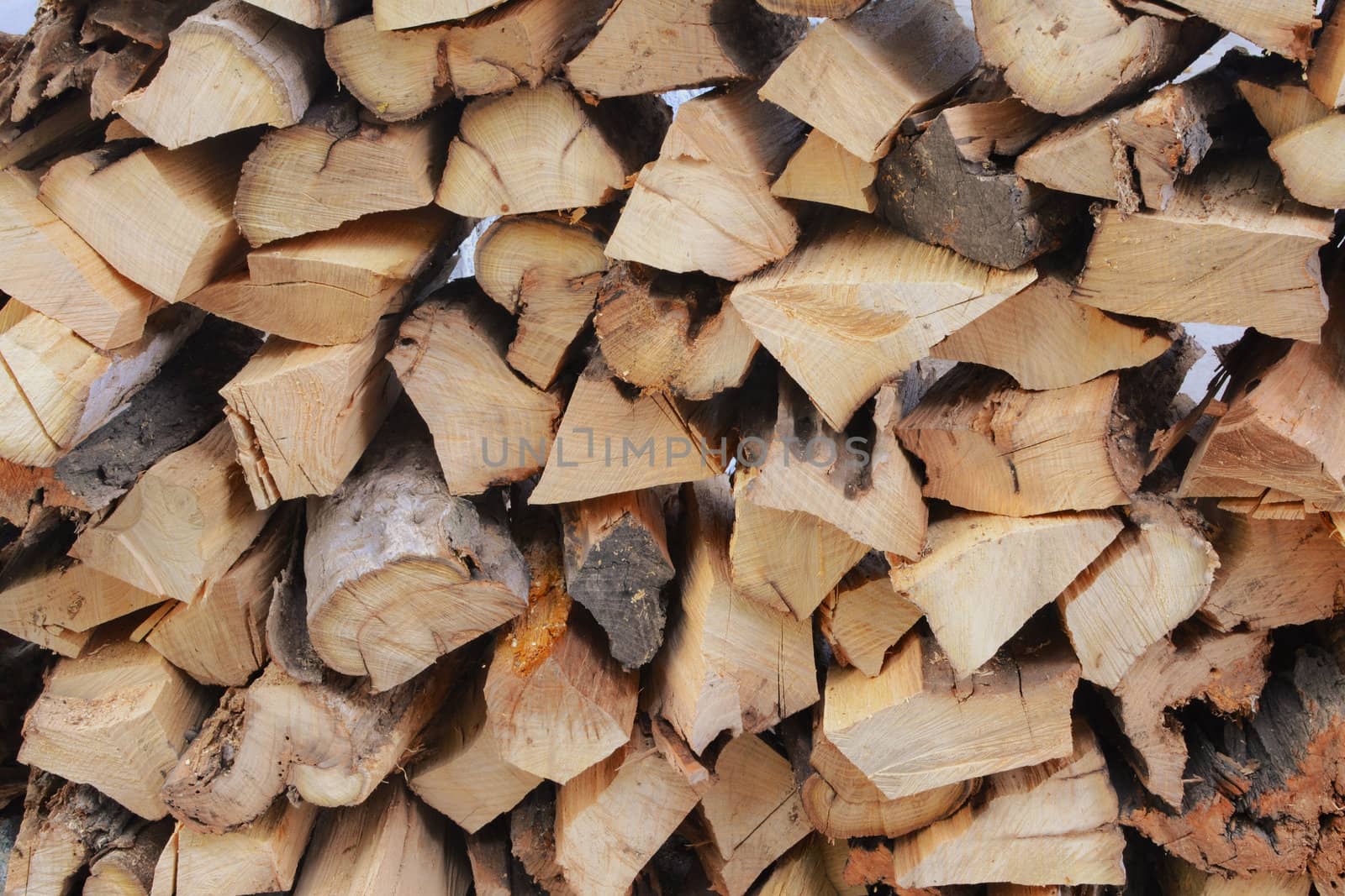 Stack of dried firewood of linden wood