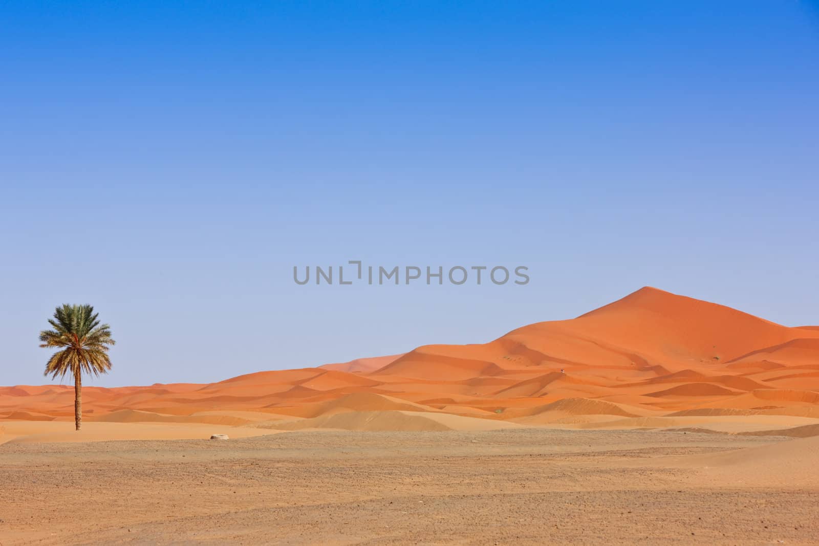 Beautiful Desert Landscape. Sahara, Morocco.