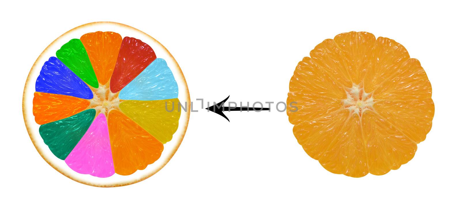 infographics GMO oranges on a white background