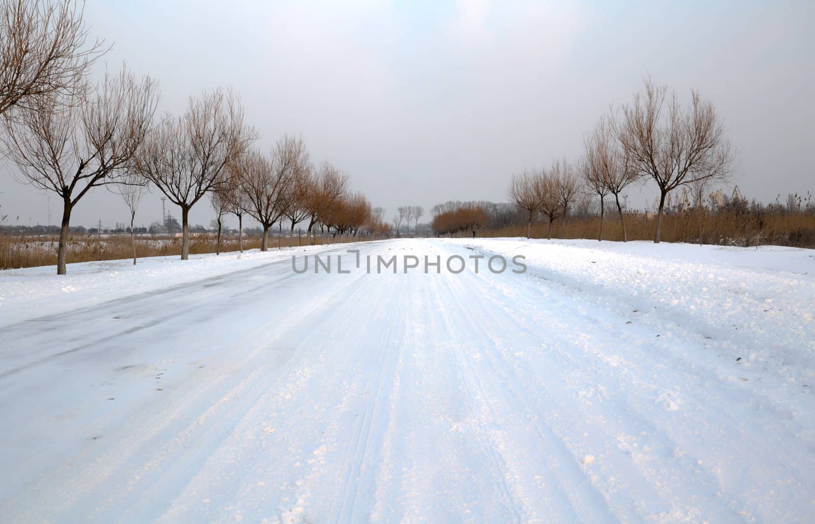 Winter snowy landscape in the afternoon
