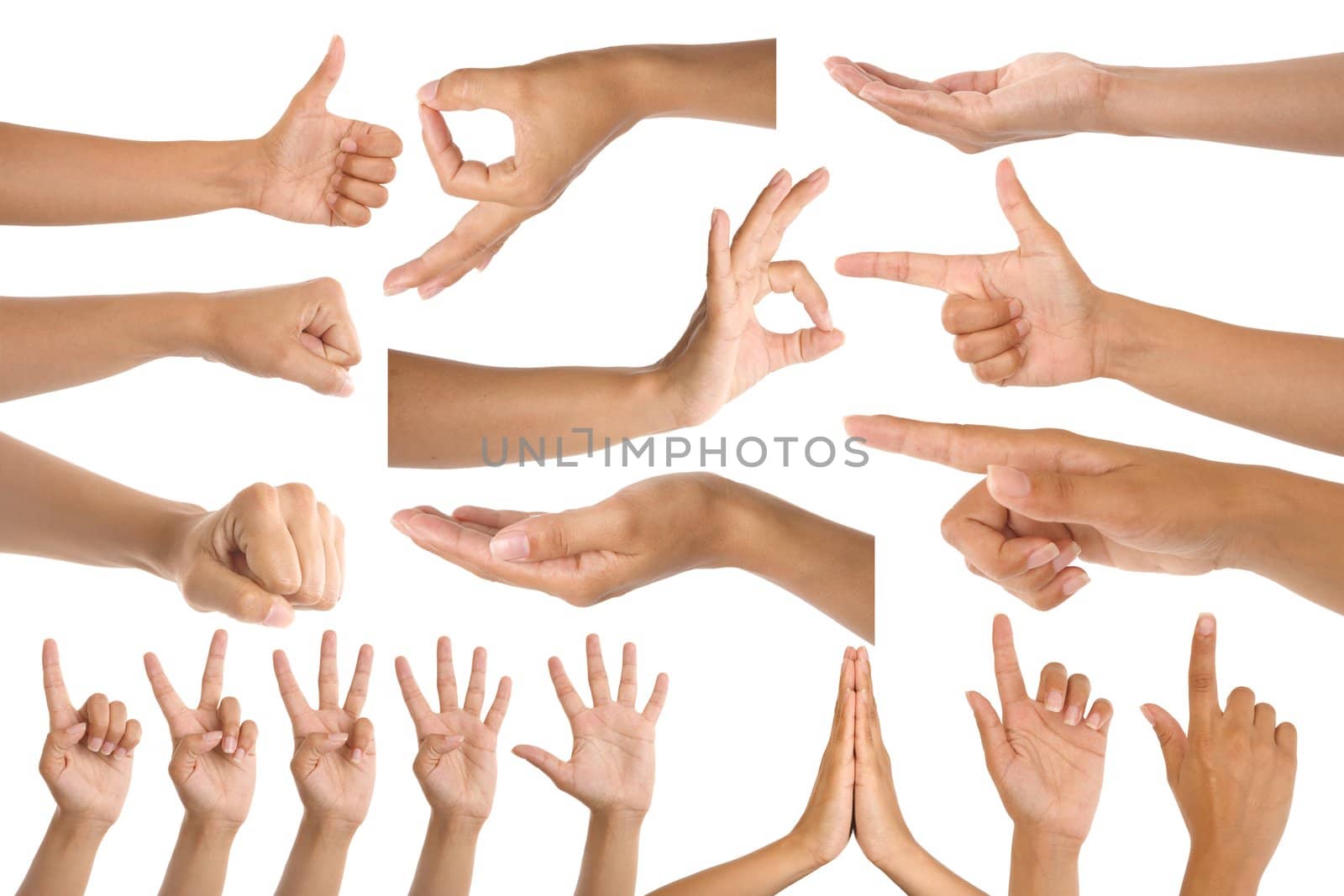 woman hand gestures isolated on white background 