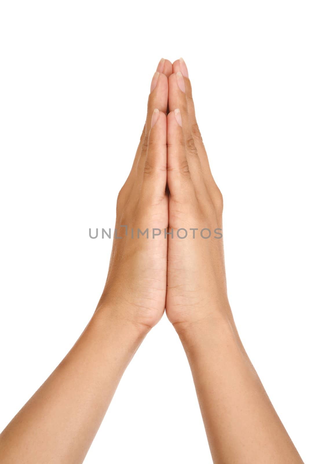 Woman praying hands isolated on white background 