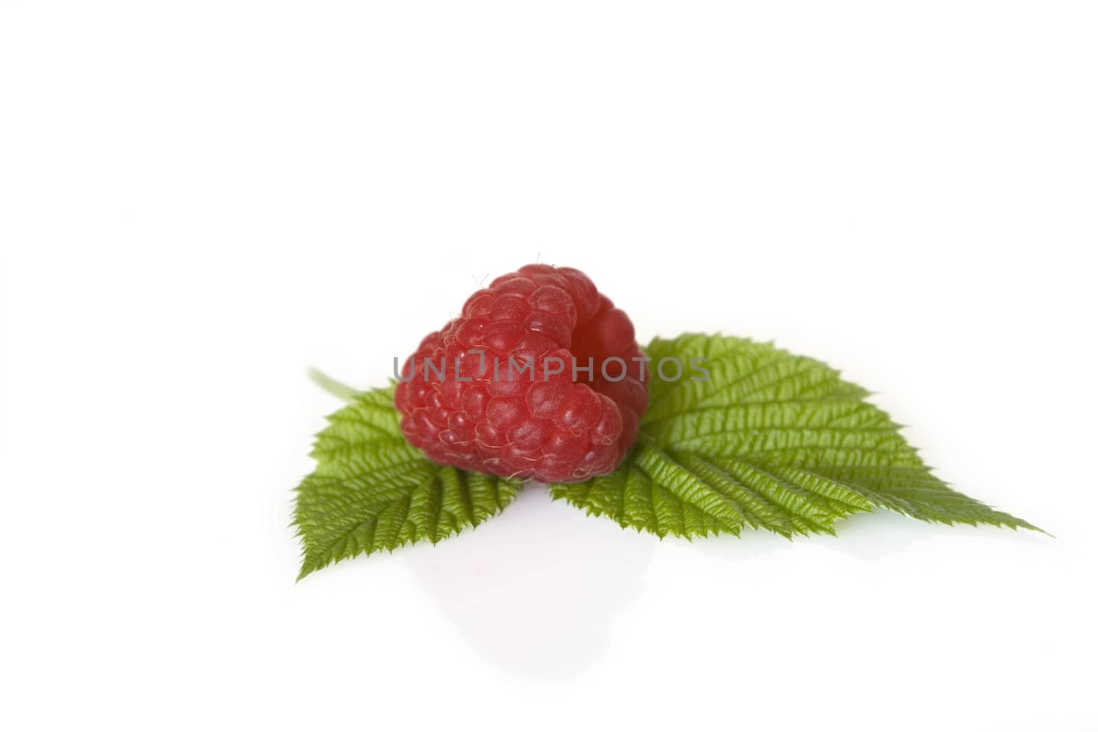 Ripe raspberry with green leaf on white background