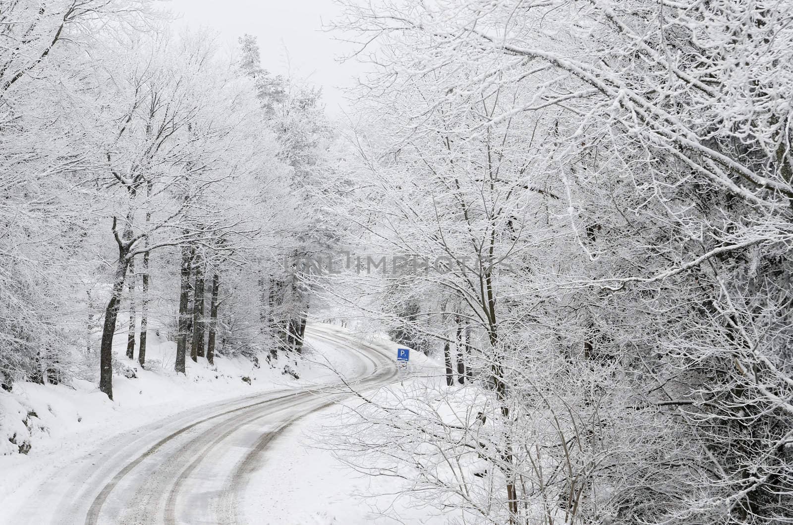 Snowy road by gufoto