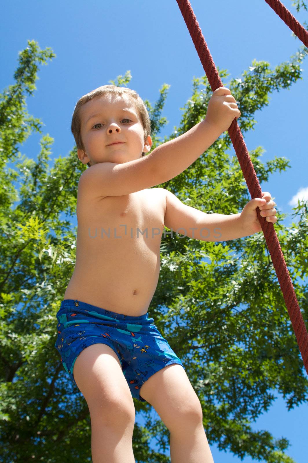 Little boy playing on ropes