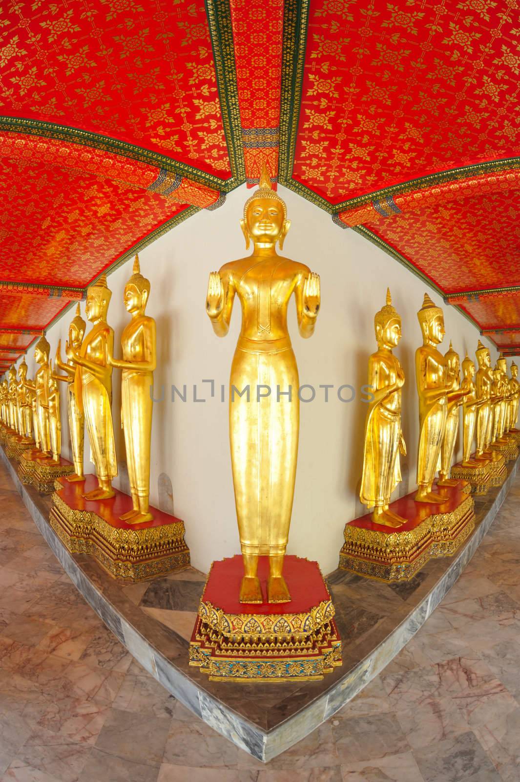 Row of the golden standing Buddha image by fisheye views.  by ngungfoto