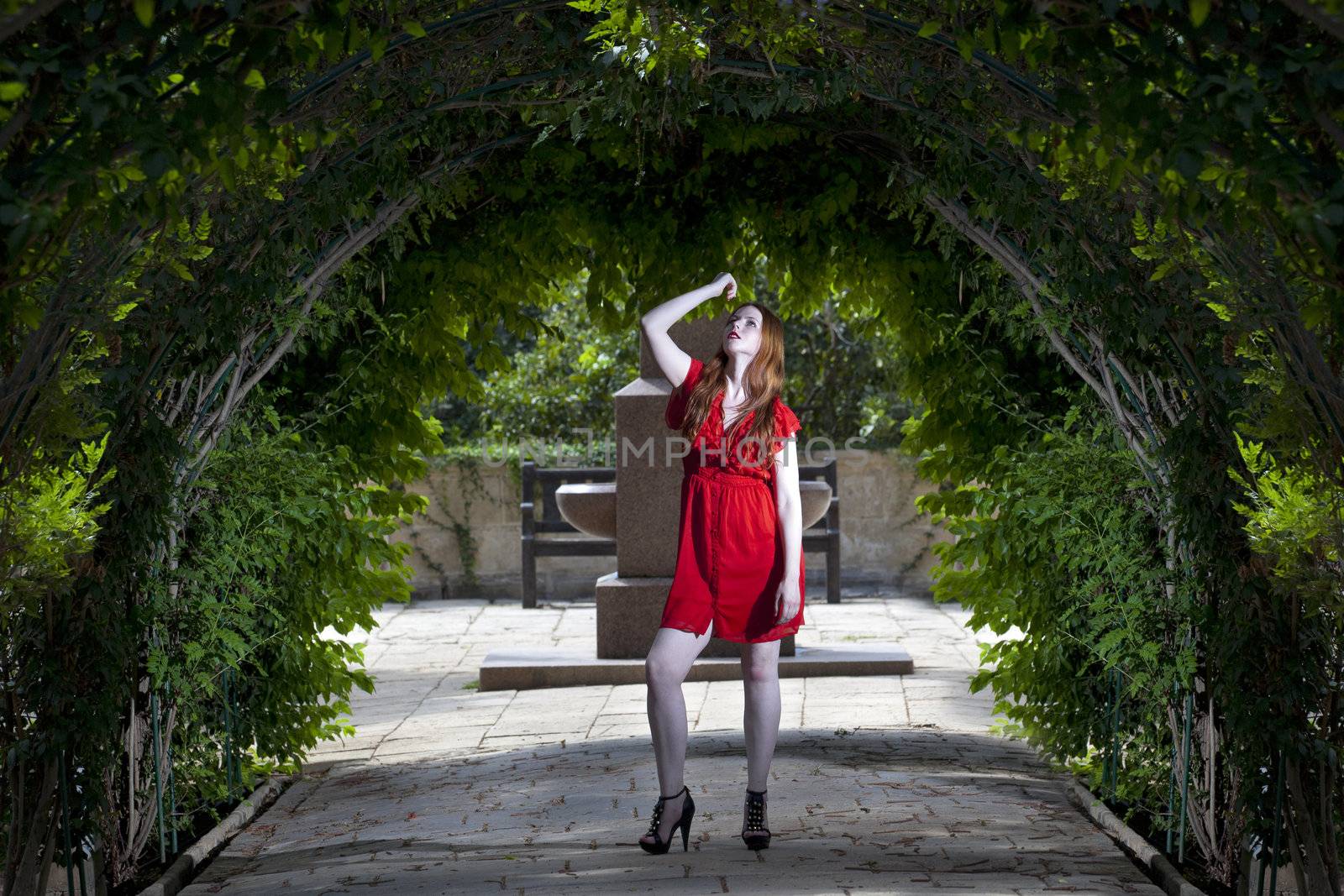 Garden Arches by PhotoWorks