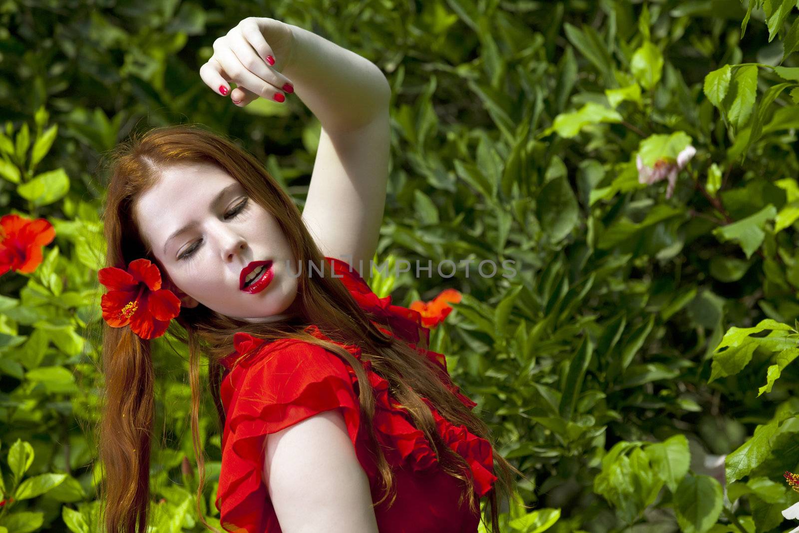 Flamenco by PhotoWorks