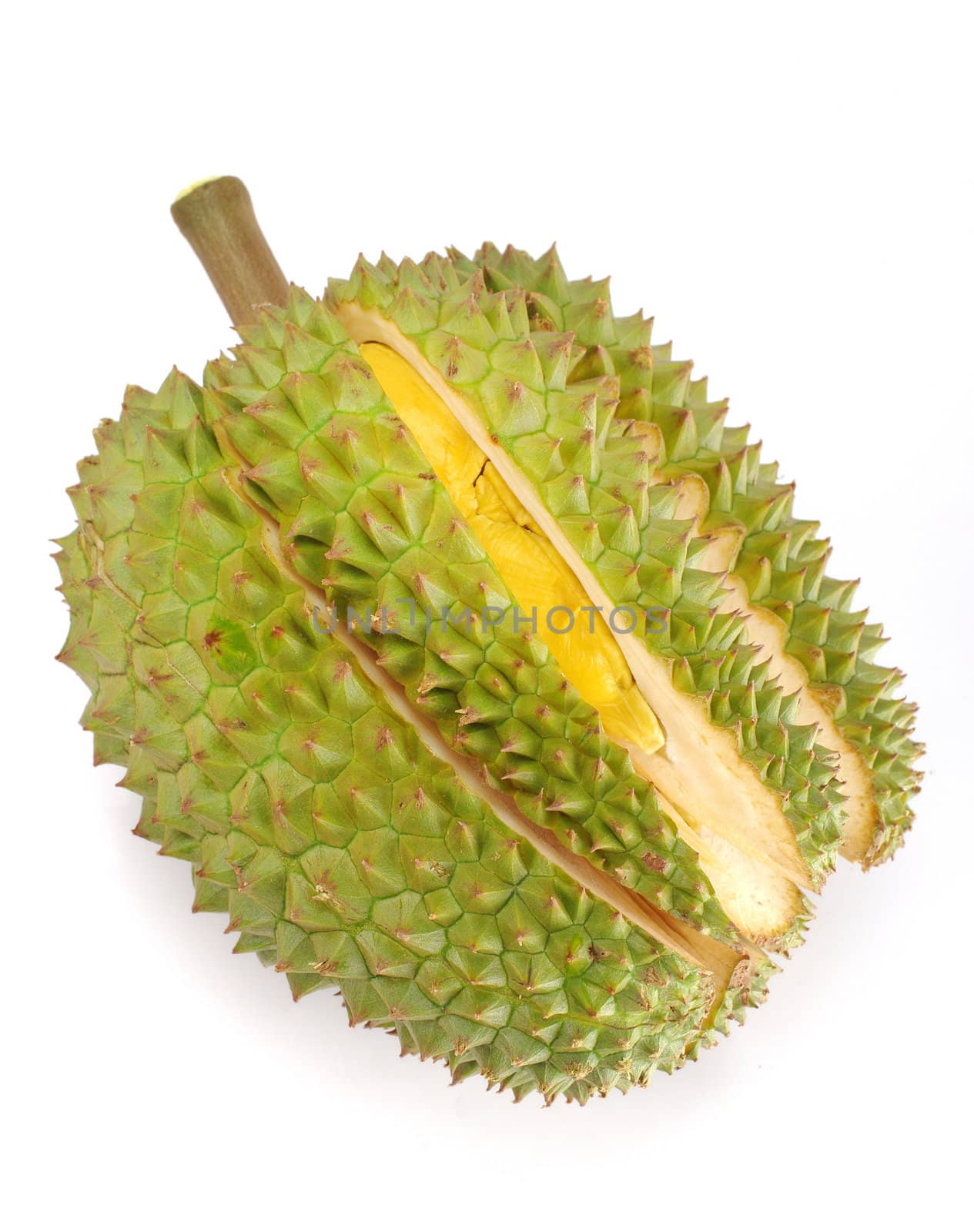 Durian isolated on white background  by pixbox77