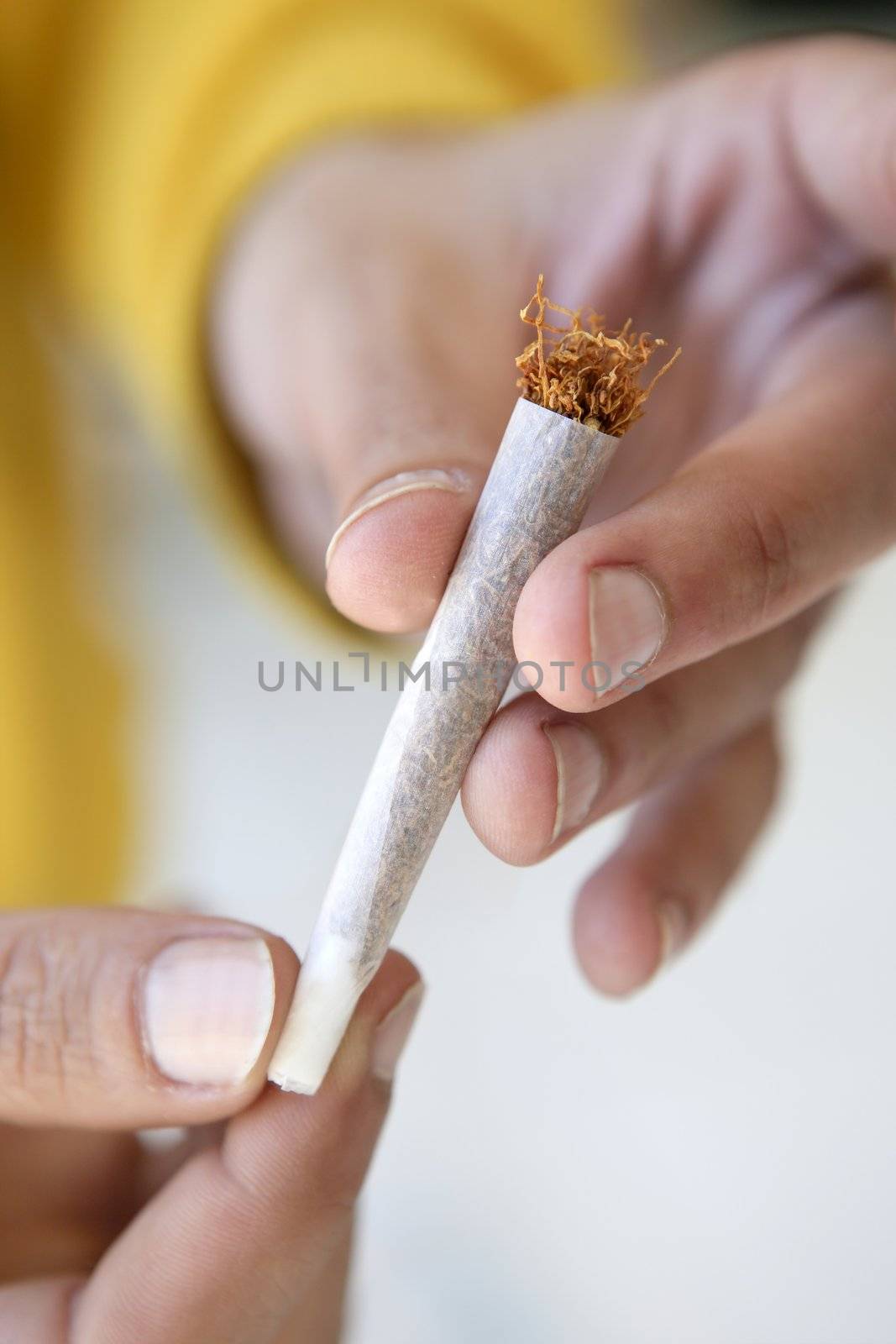 joint tobacco cigarette in hands prepared to smoke