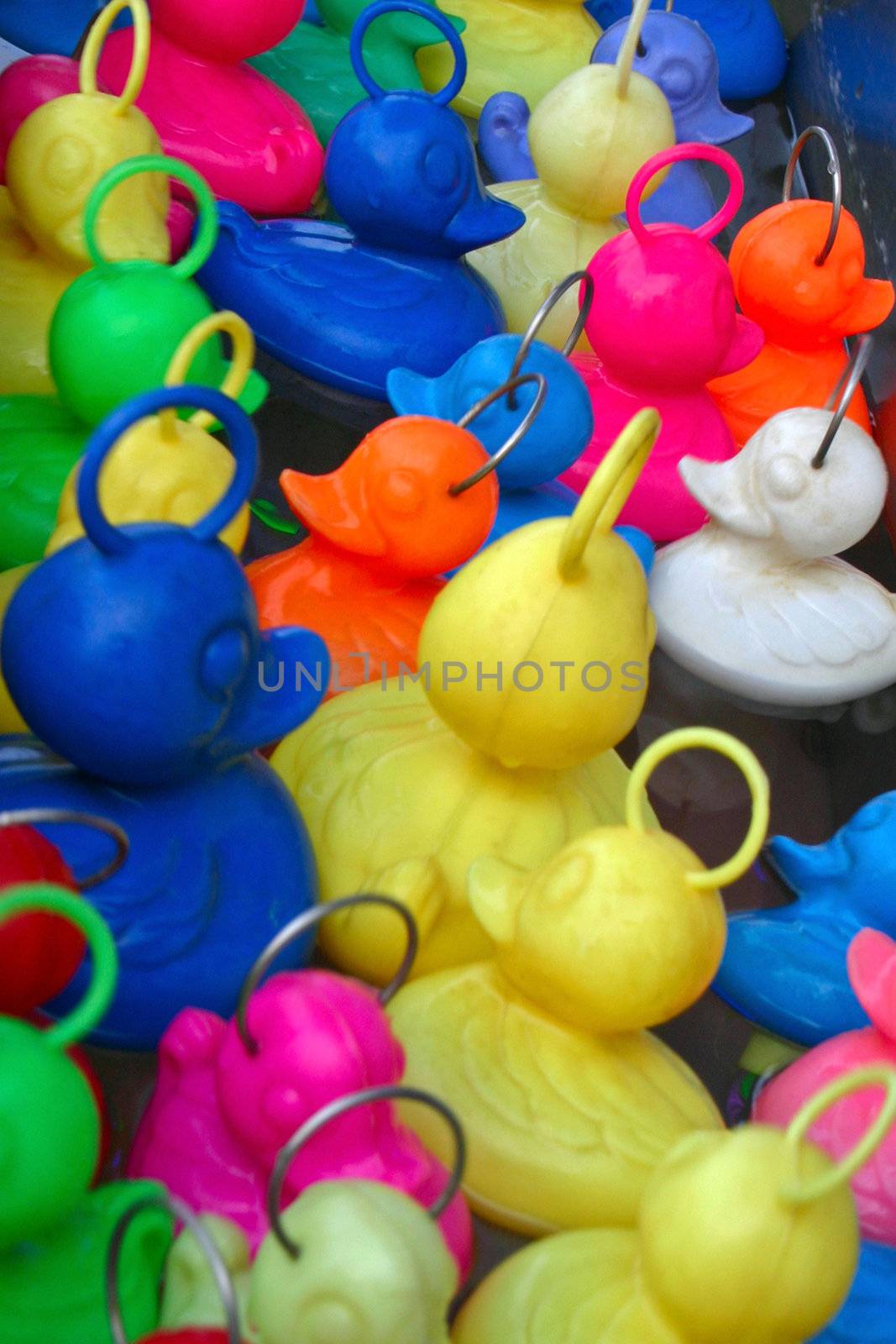 Fishing plastic ducks at the carnival fair