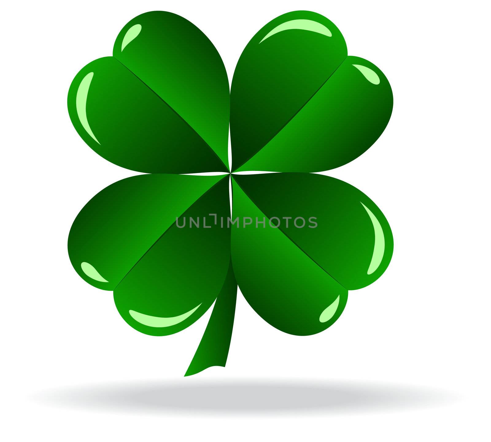 green shamrock as a symbol of St Patricks Day Isolated on white background