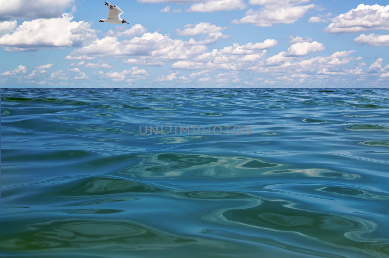 beautiful blue water and sky  by Lexxizm