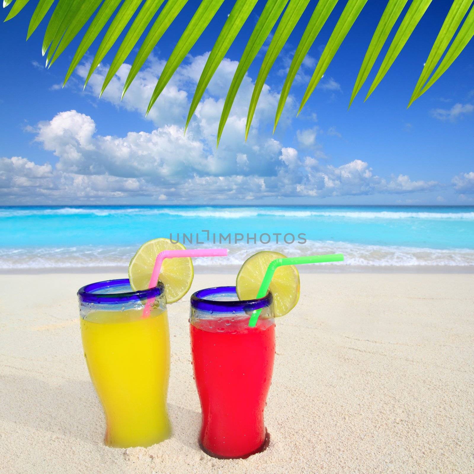 beach tropical cocktails palm tree leafl turquoise beach by lunamarina