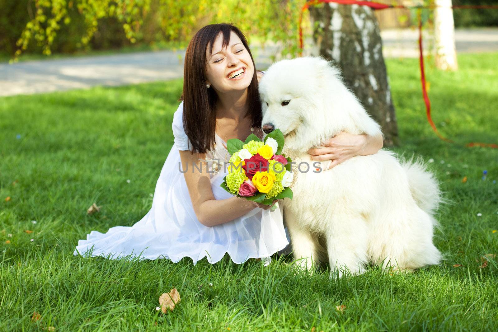 Bride with dog Samoyed sitting on the grass