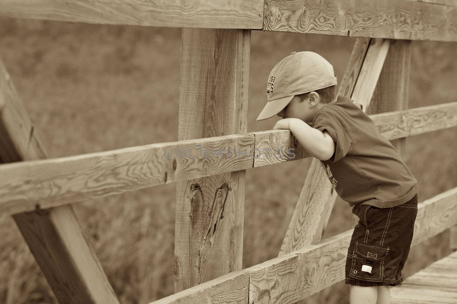 Boy standing by a fence on a wooden bridge