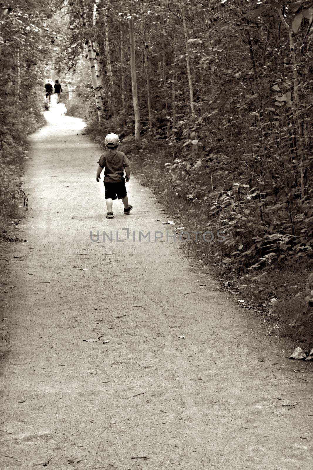 Little boy walking in a forest path