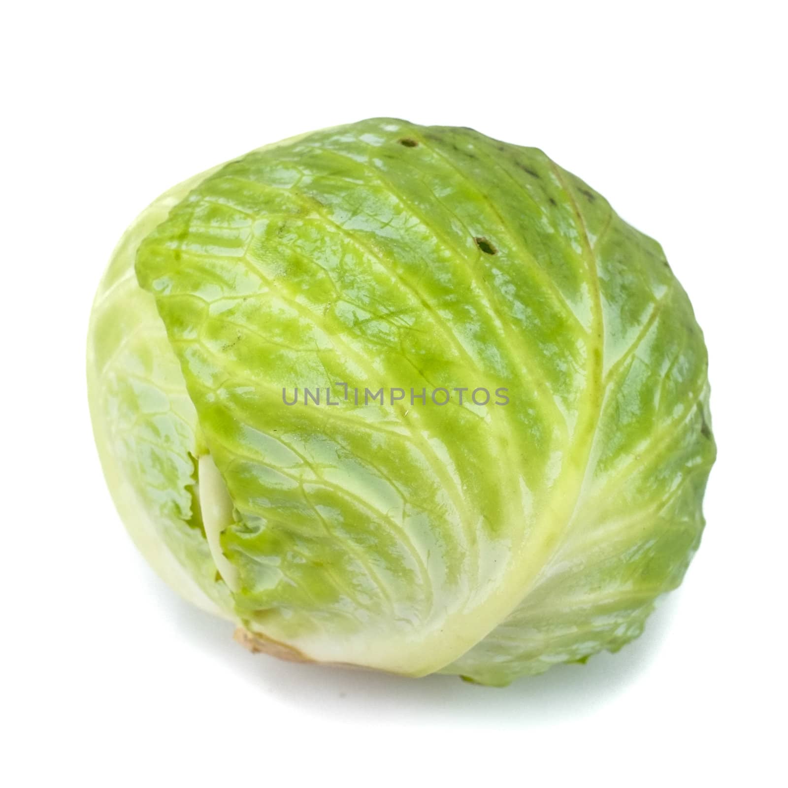 cabbage isolated on white background