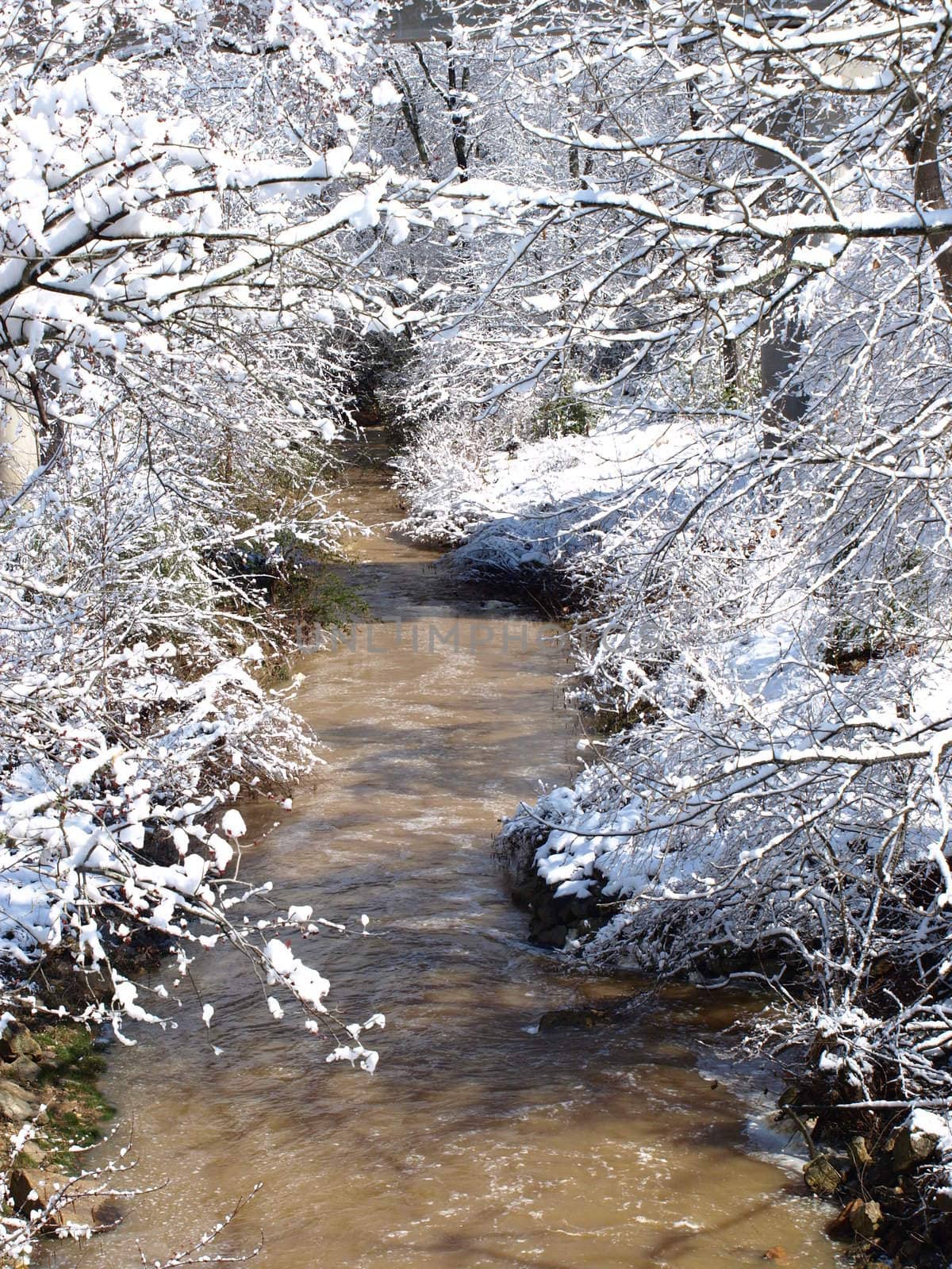 A cold winter creek after the storm