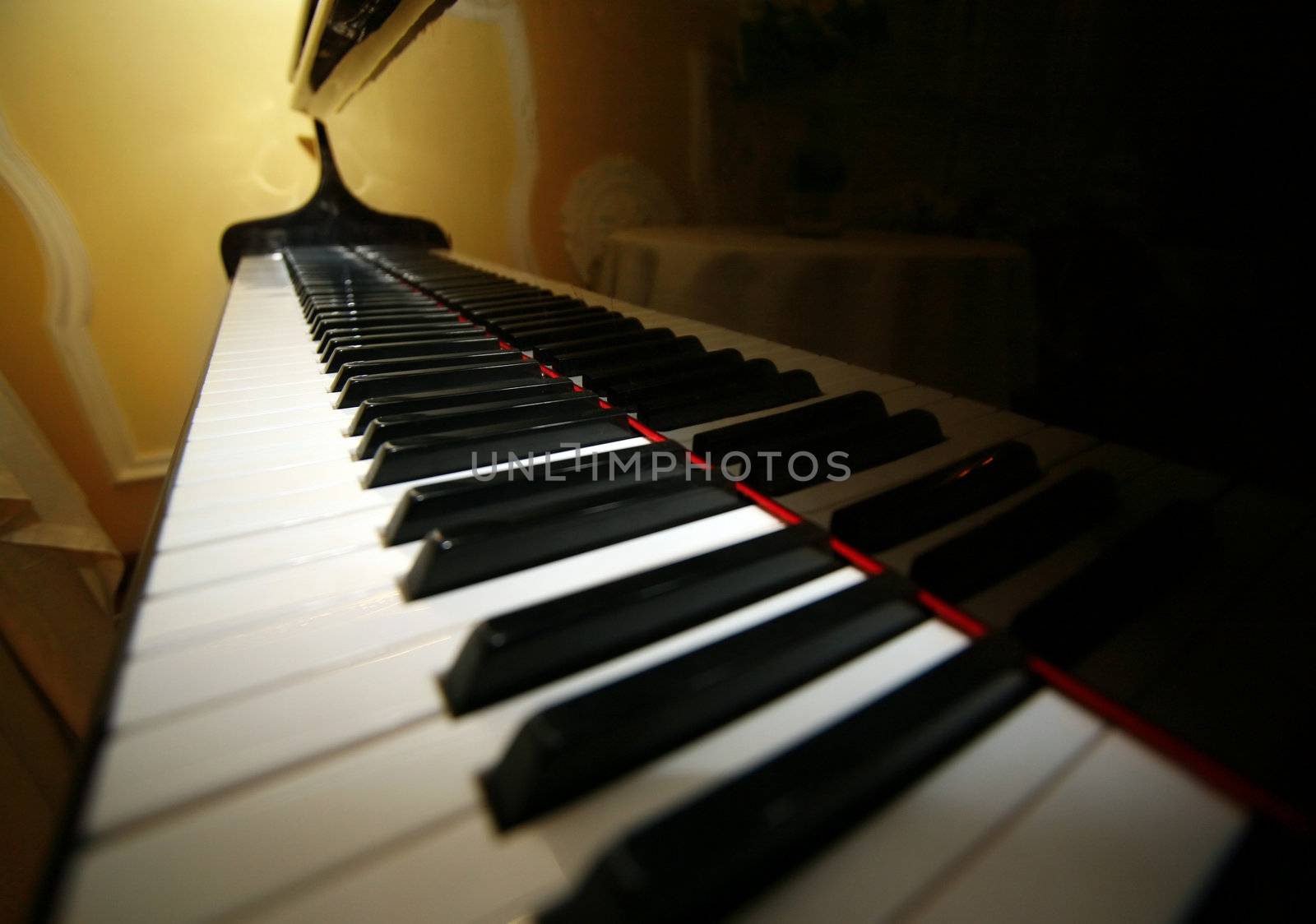 Grand piano ebony and ivory keys