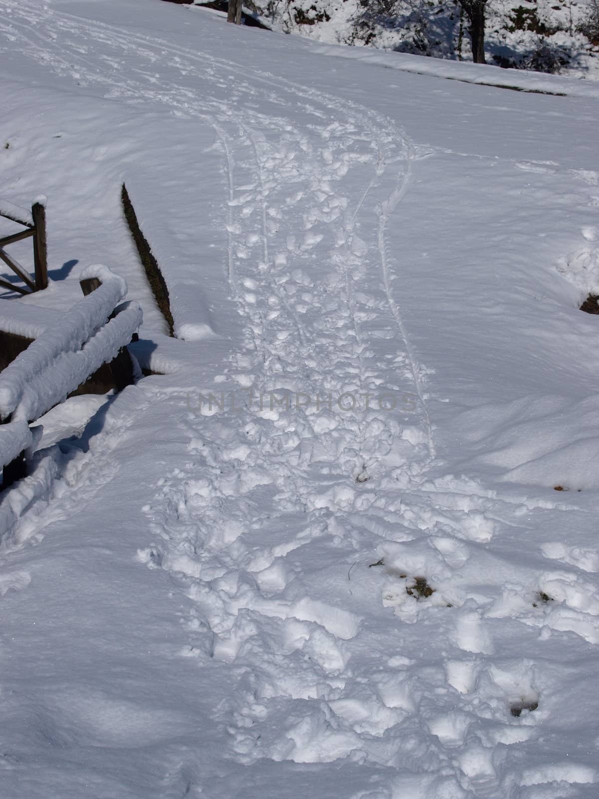 a path in the snow after a snow storm