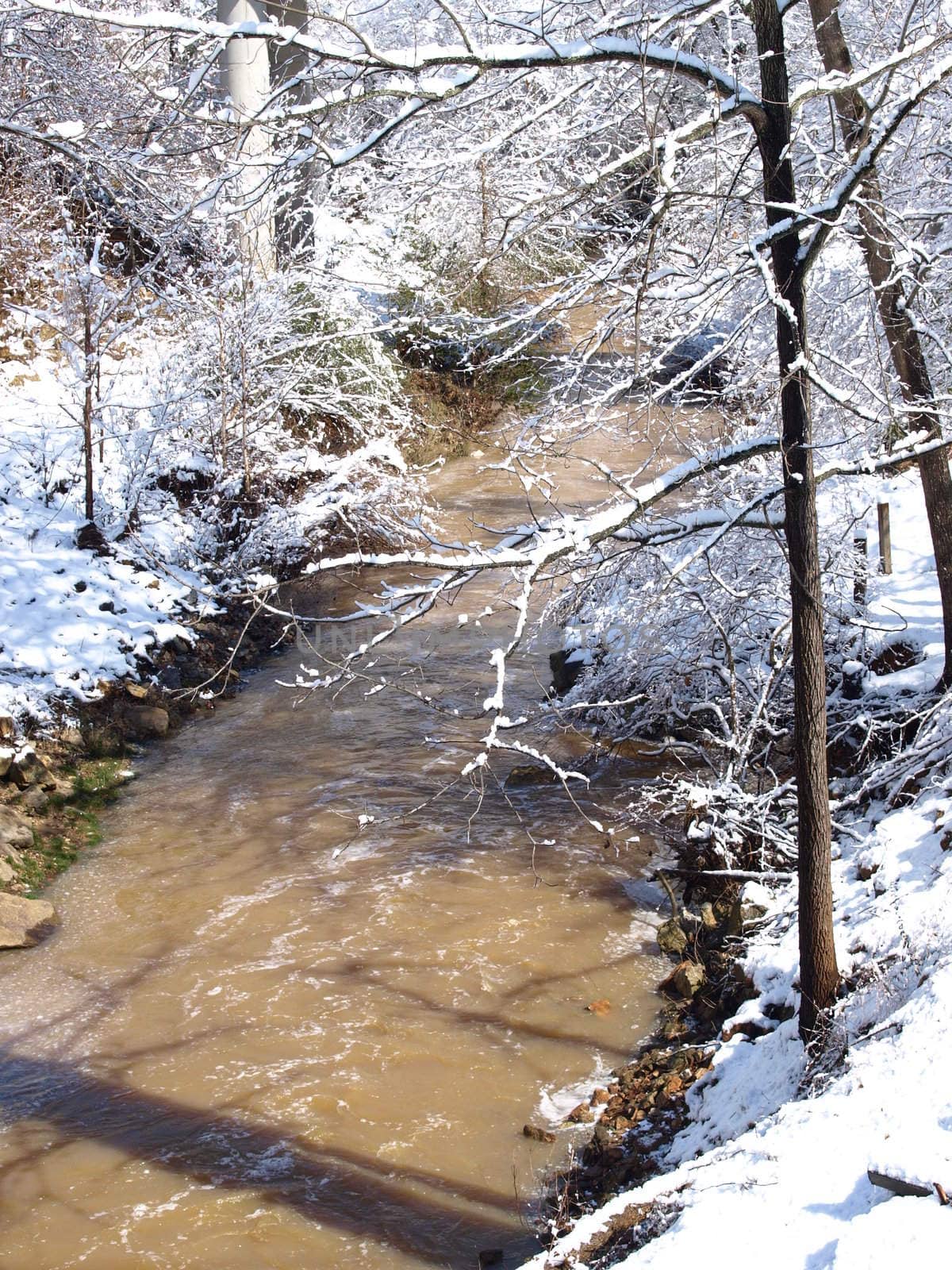 Winter creek by northwoodsphoto