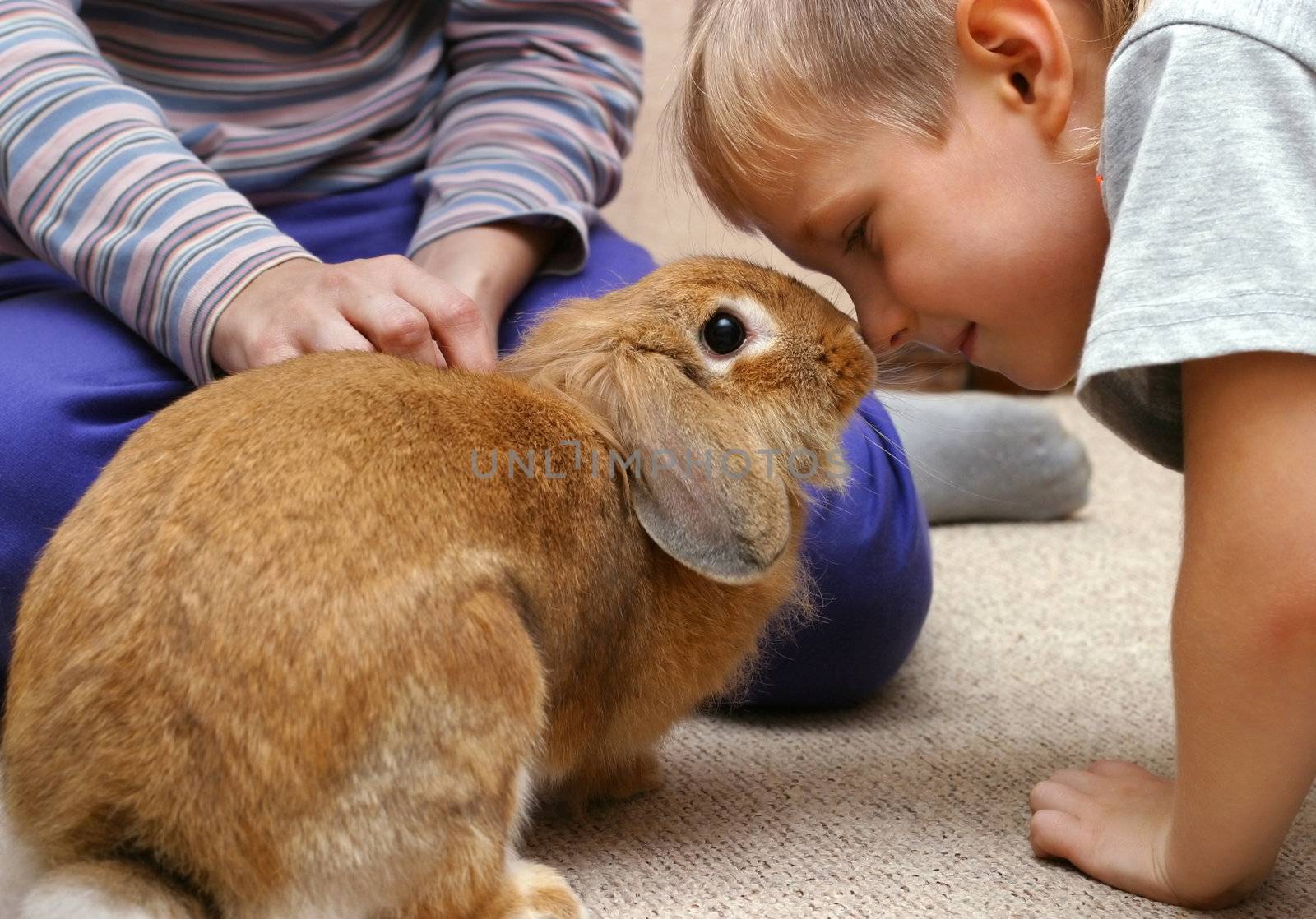 The boy plays with the rabbit