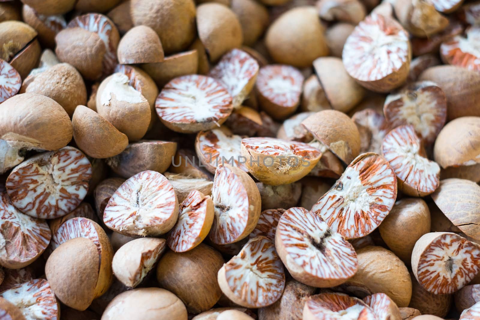 Betel Nut or Areca Nut background, selective focus.