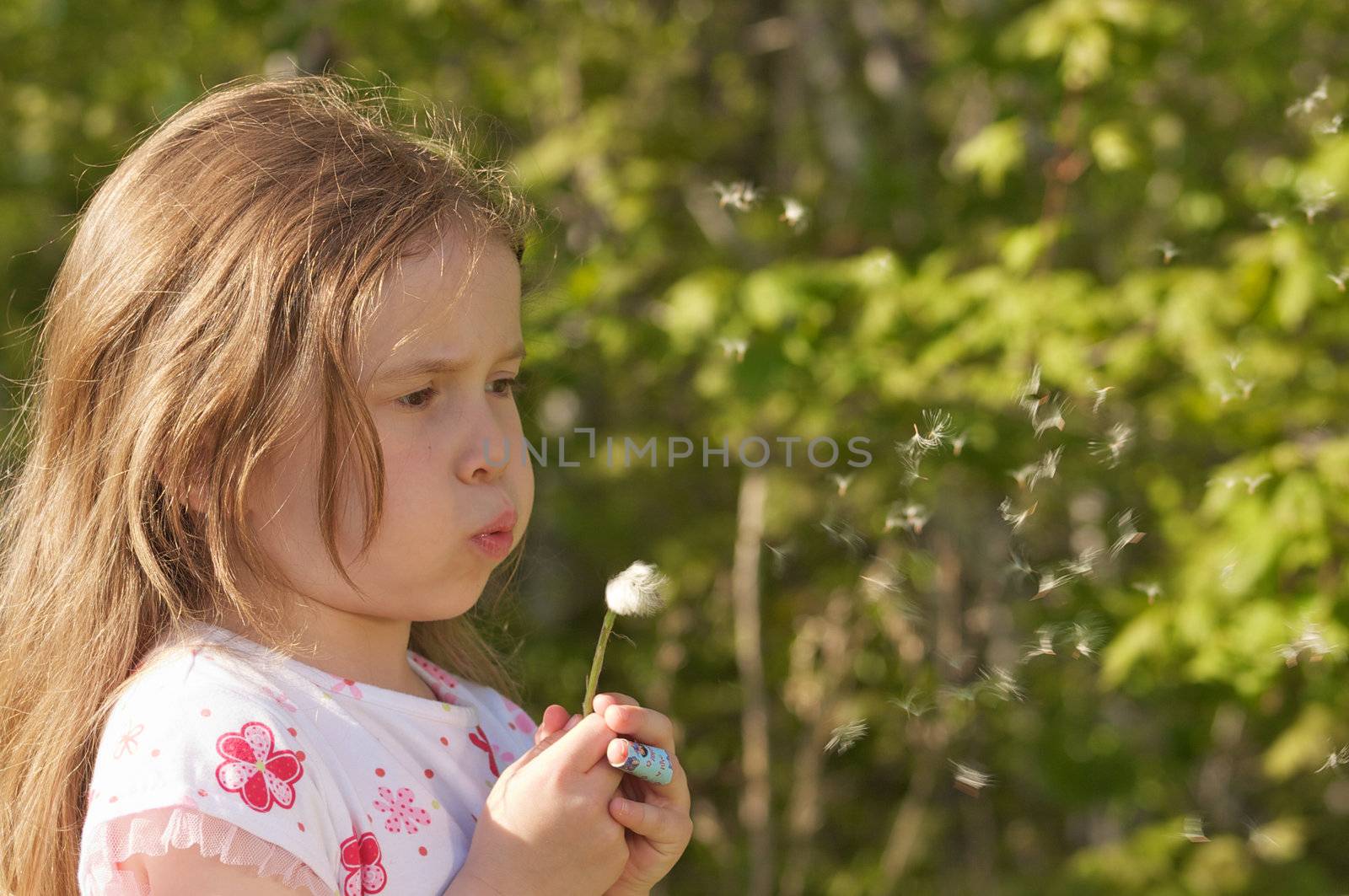Girl and dandelion by Talanis