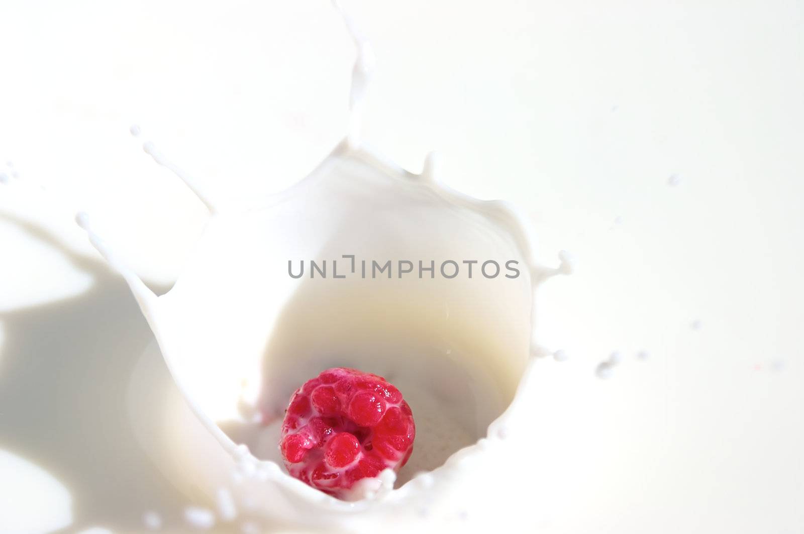 Small raspberry splashing into cold milk