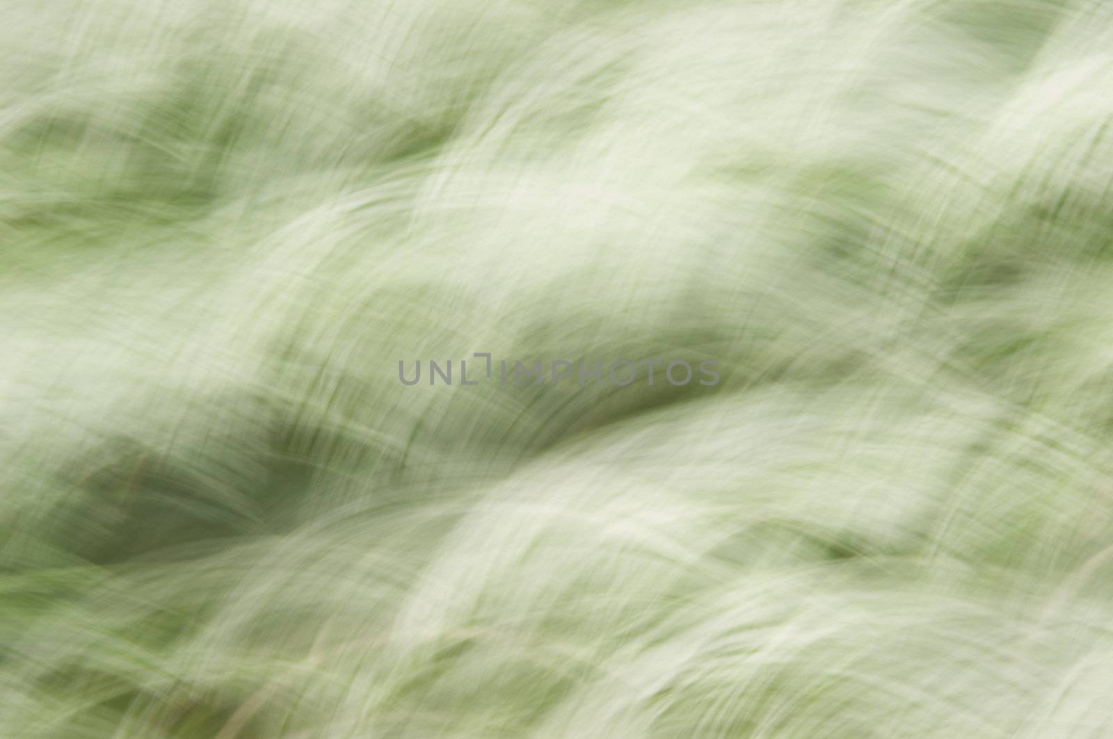 A green and white motion blur abstract texture by Talanis