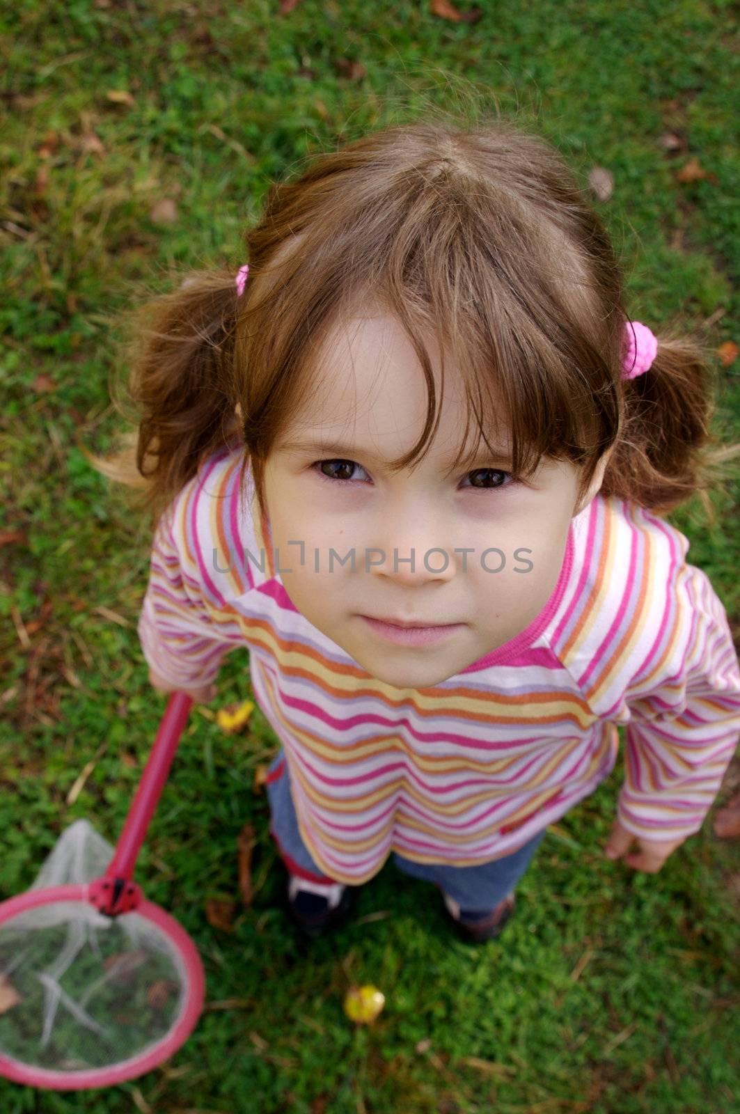 Little girl hunting butterflies in a forest trail