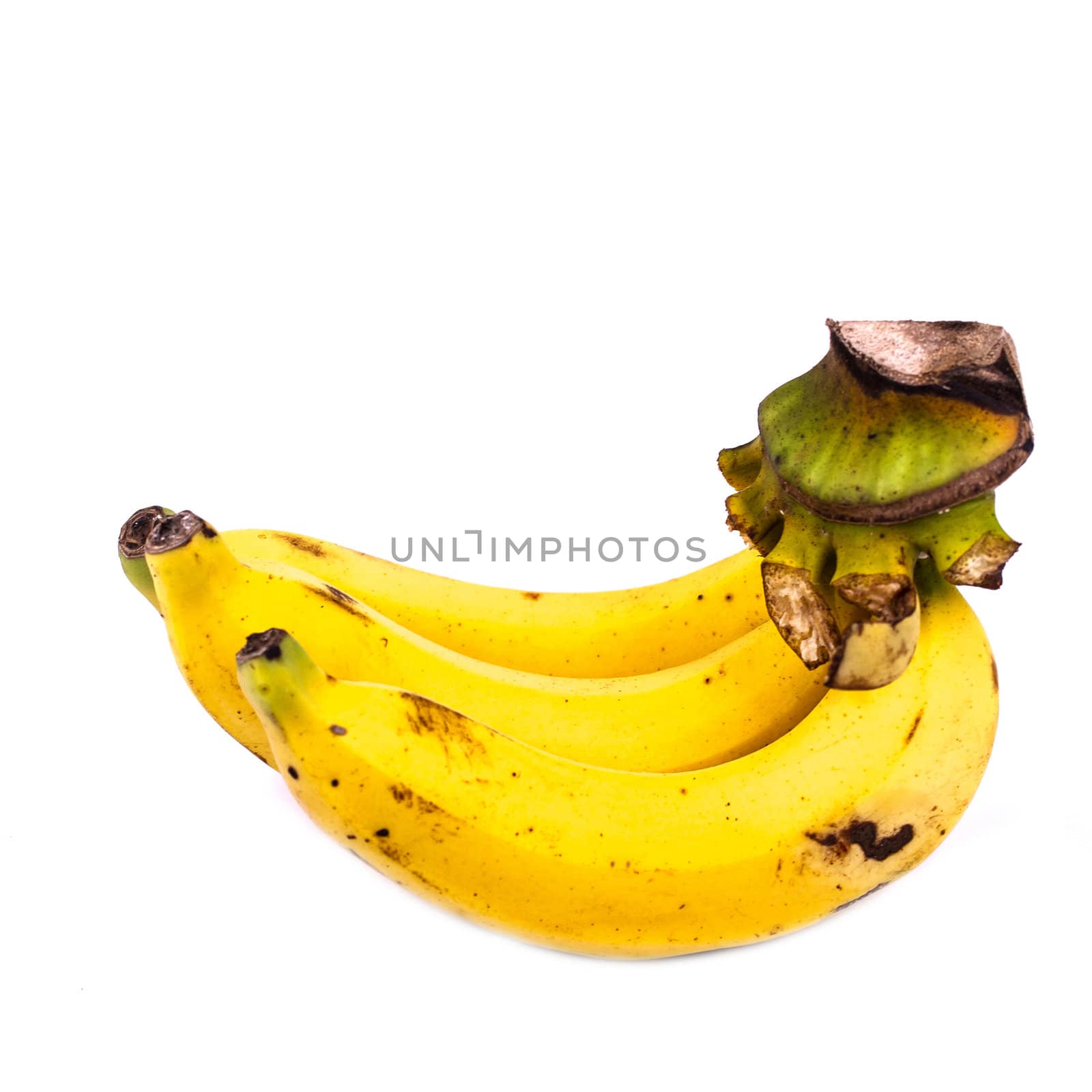 three bananas in white background
