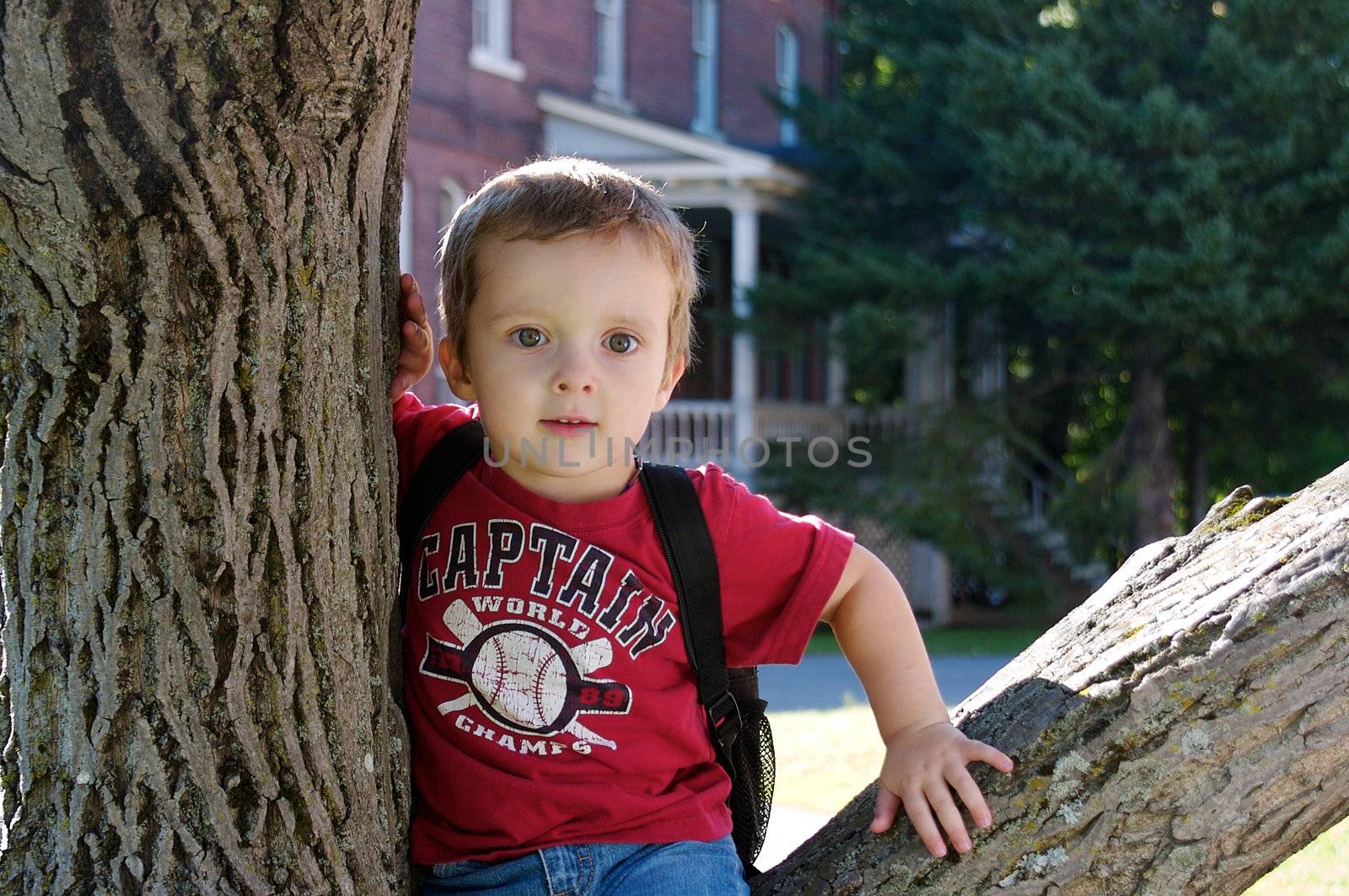 Little boy with a backpack sitting in a tree