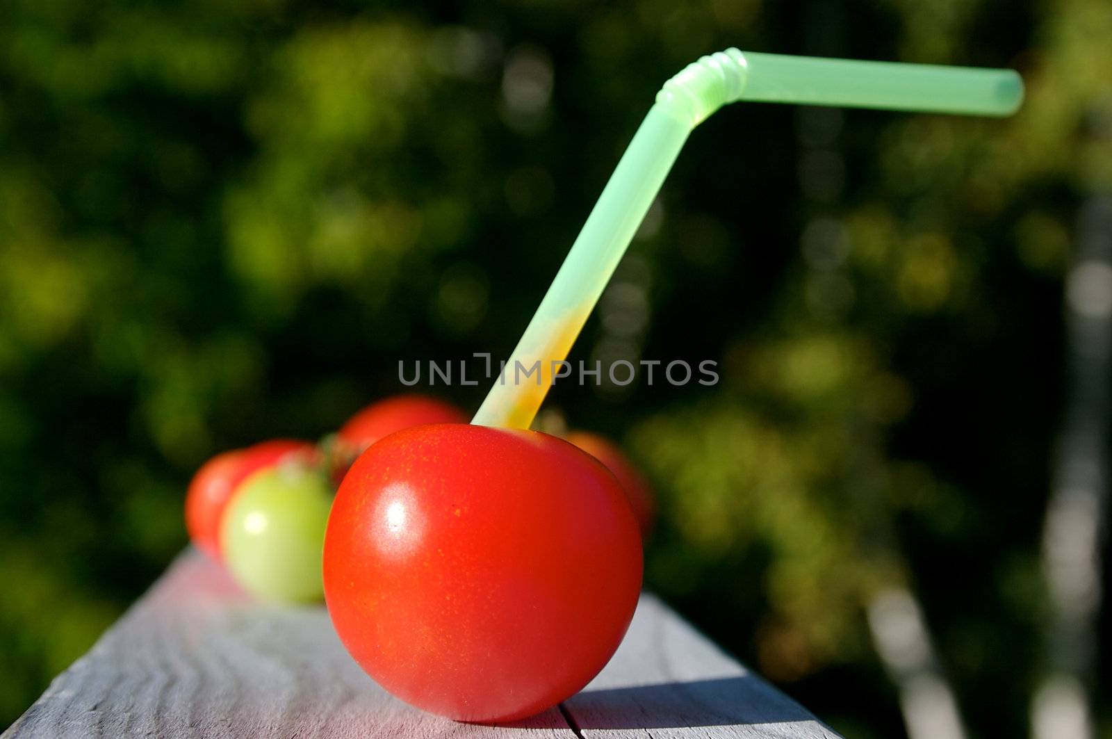 Fresh Tomato Juice? by Talanis