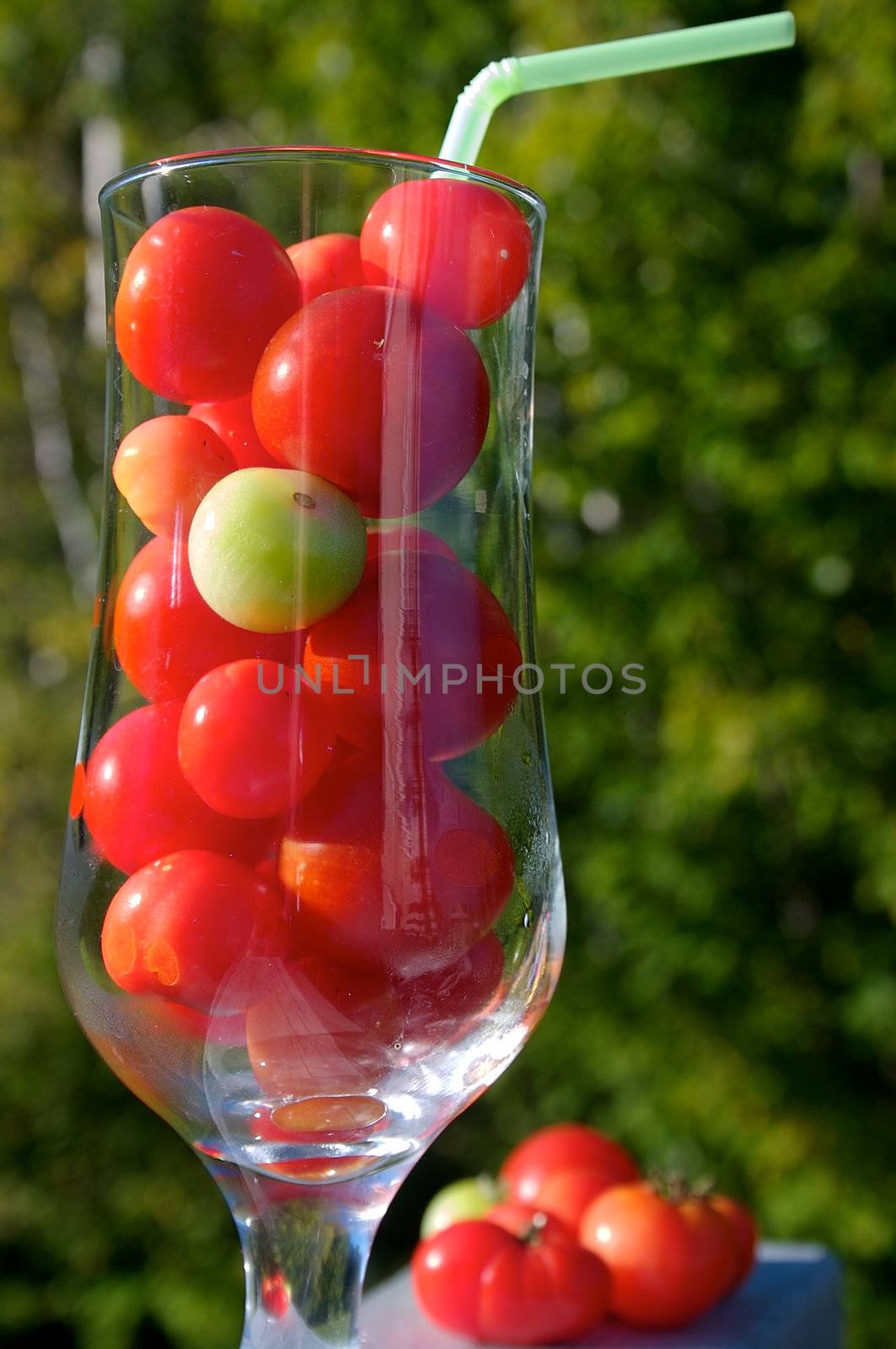 Fresh Tomato Juice? by Talanis