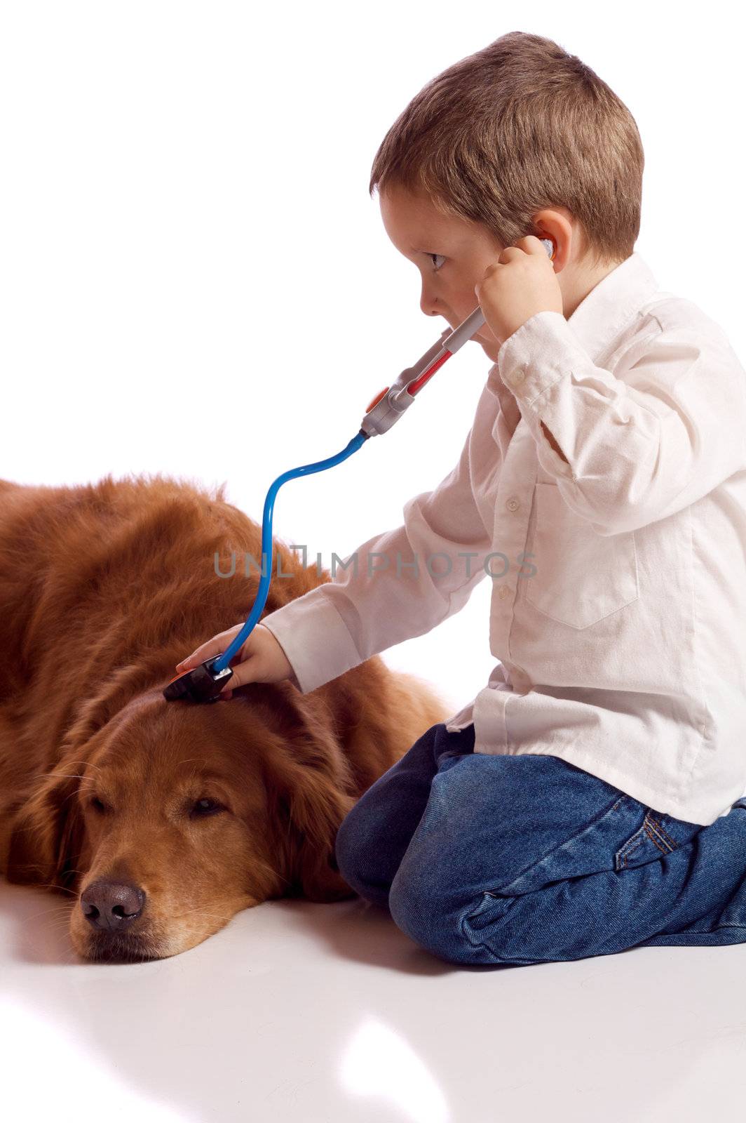 Cute little boy playing veterinary with his dog
