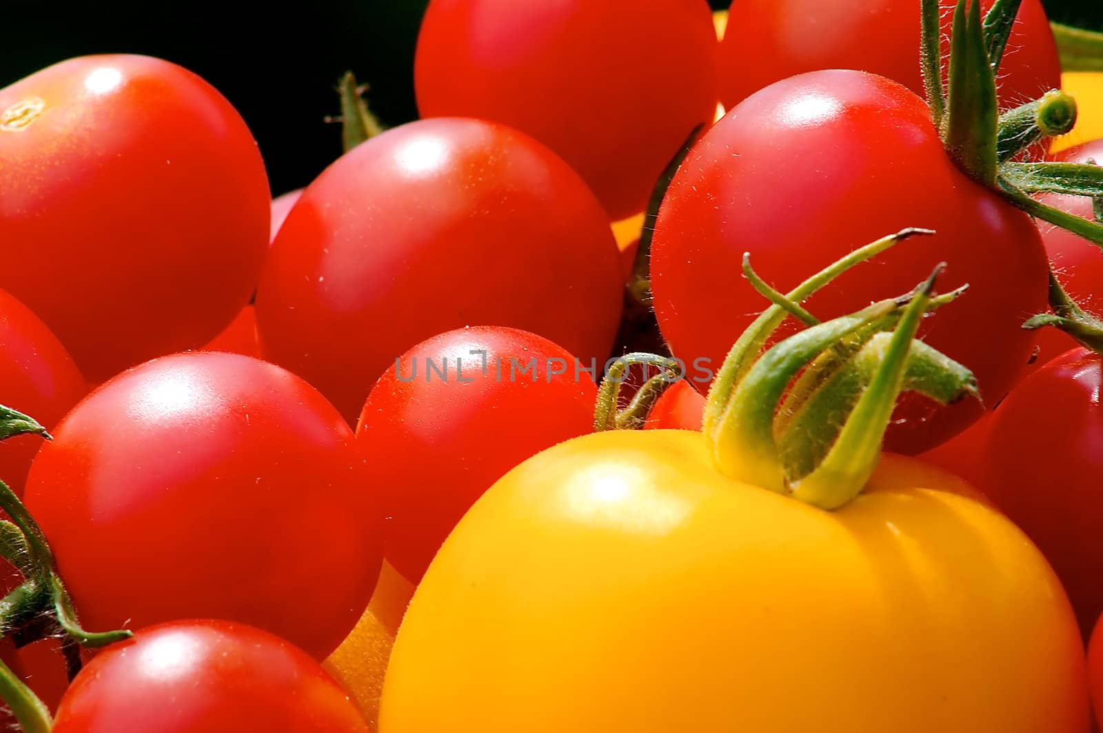 yellow, green and red tomatoes