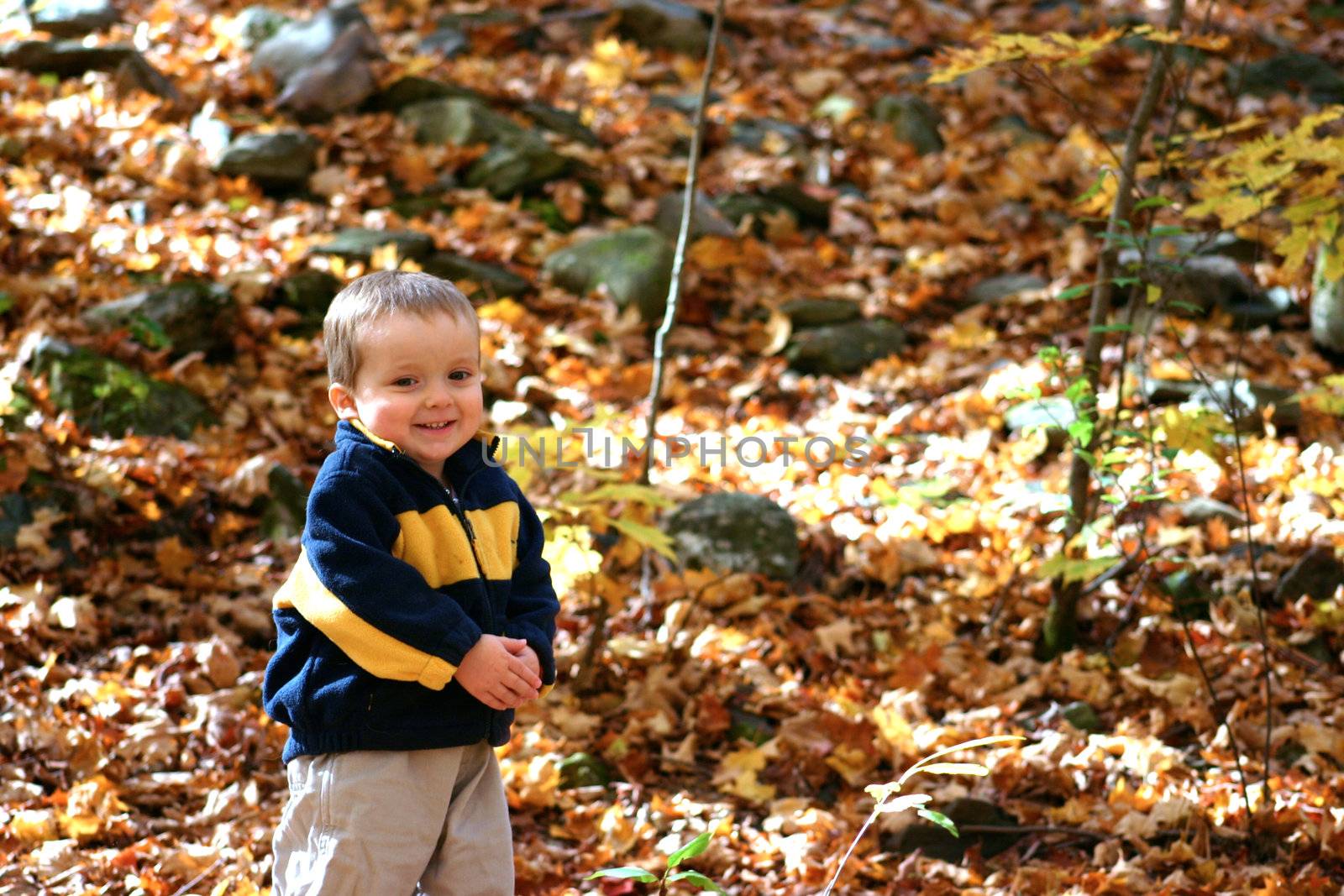 Boy standing by a fence in an autumn scenery