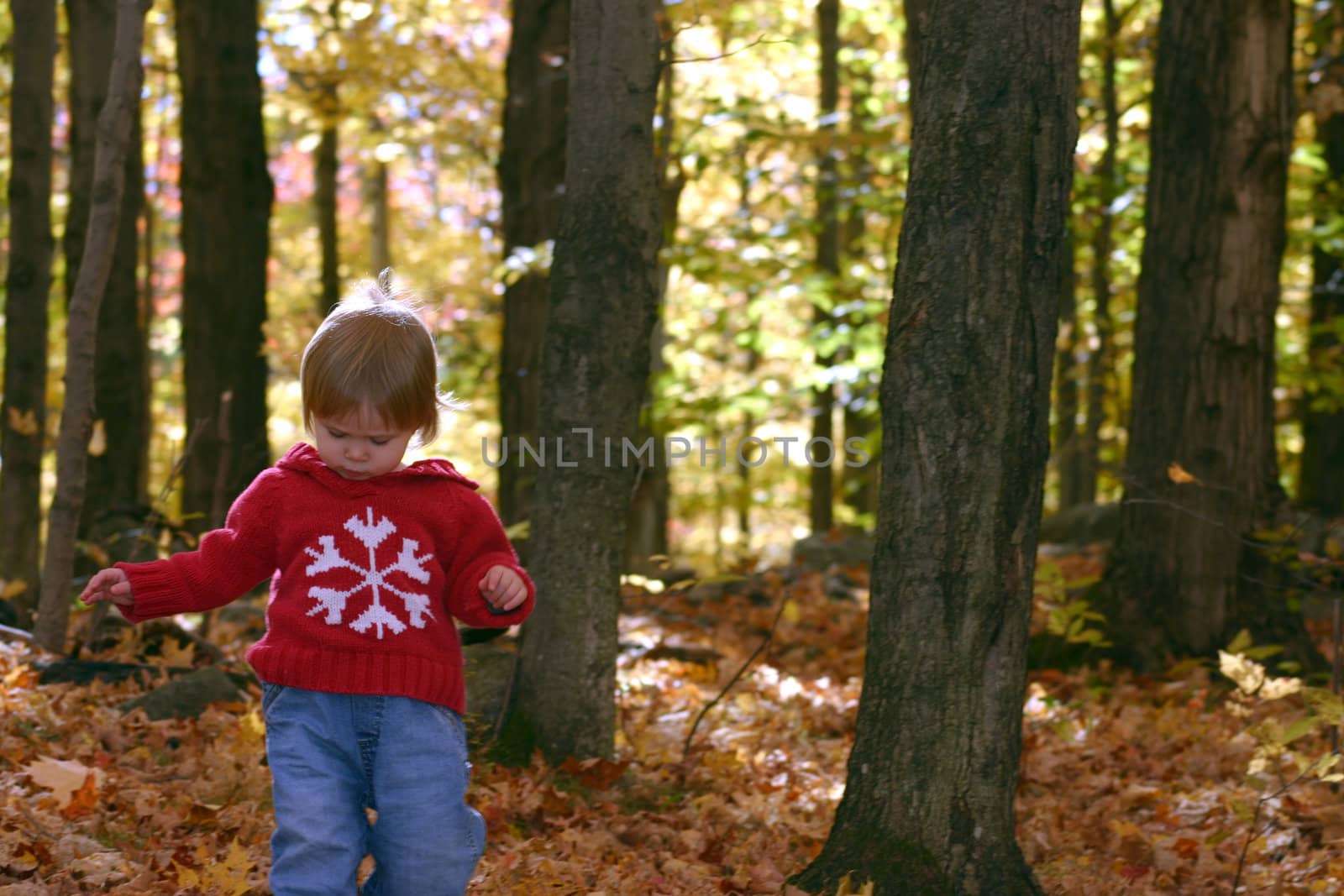 Little girl walking in fallen leaves