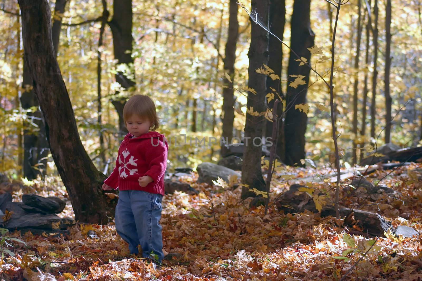 Little girl walking in fallen leaves in autumn