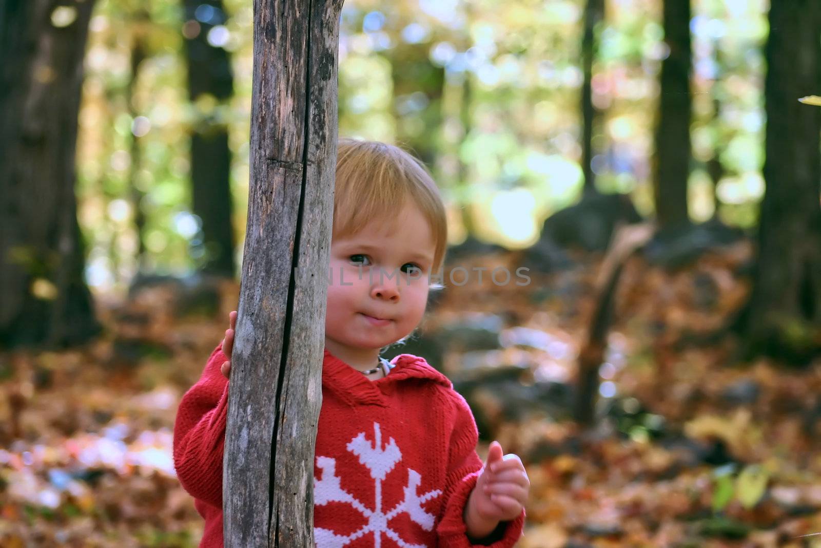 Hide and seek in the woods by Talanis