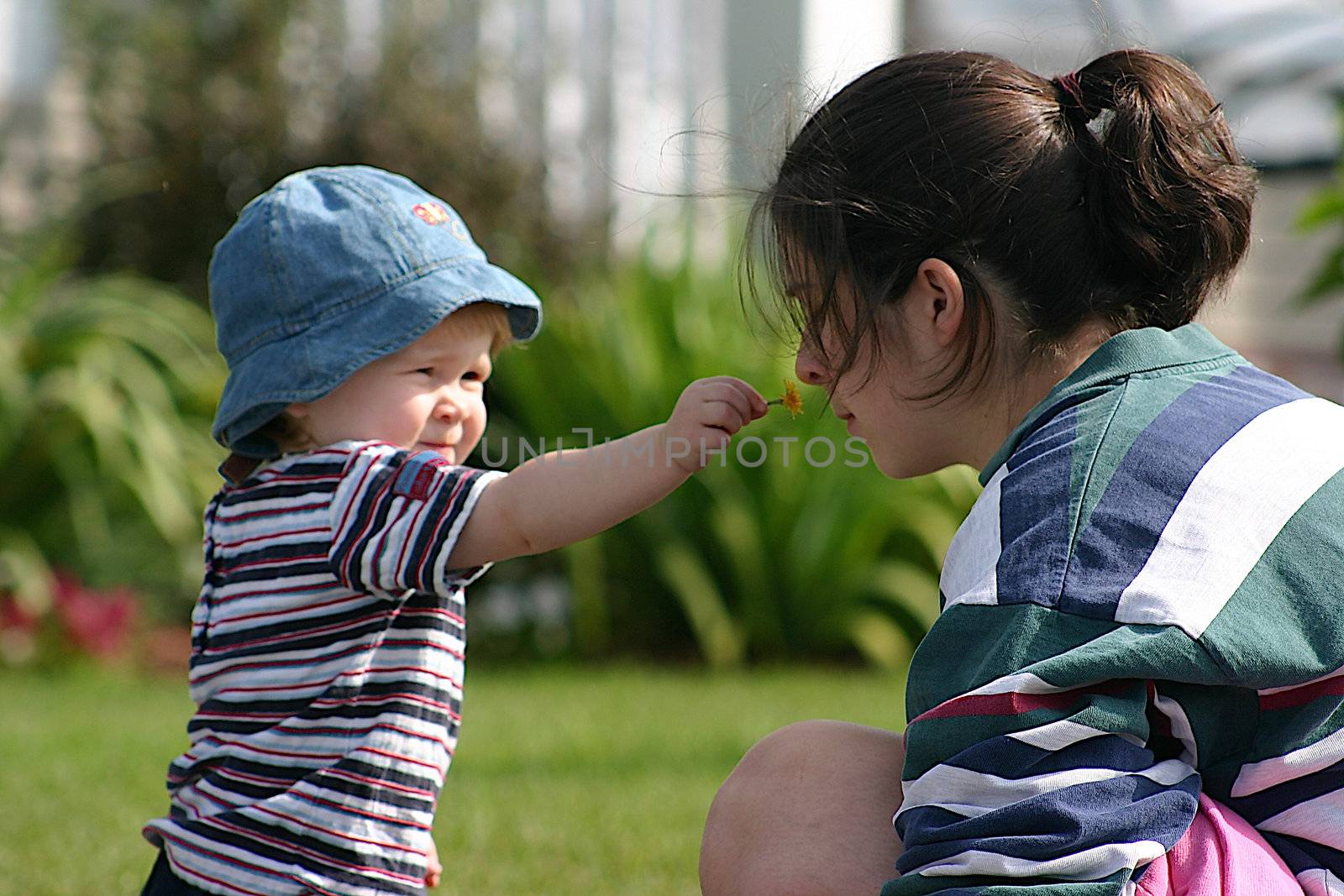 cute little girl giving a flower to her mother
