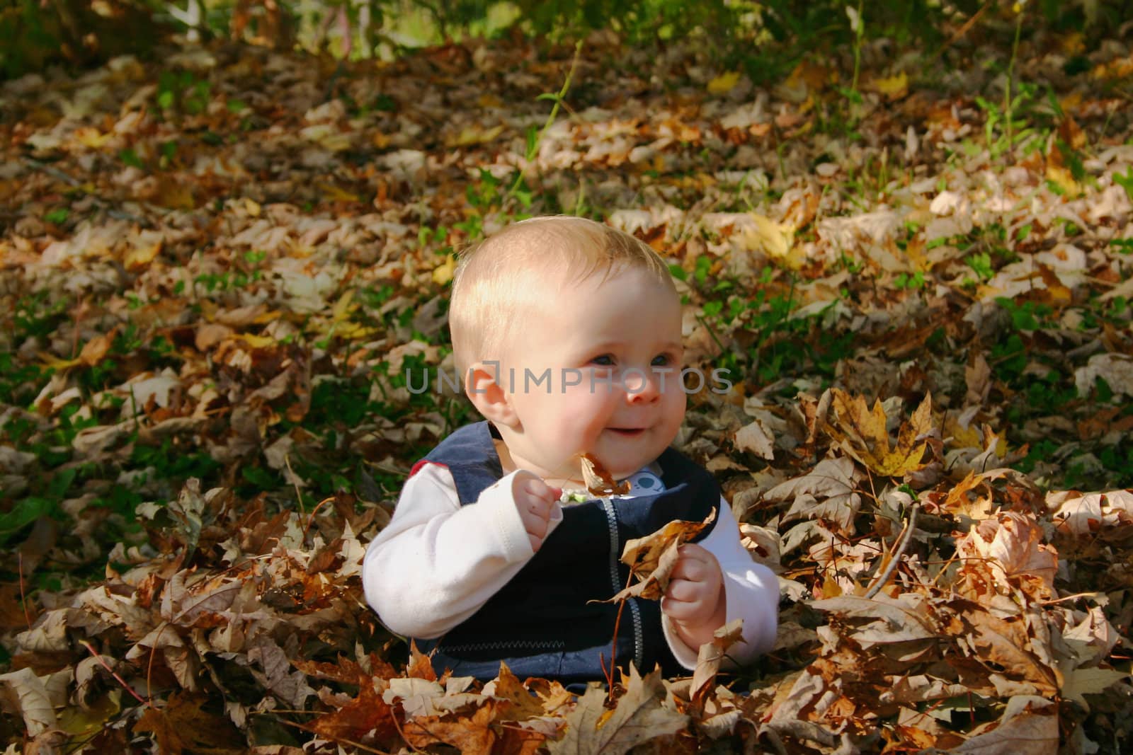 Little baby girl siting in fallen leaves and laughing