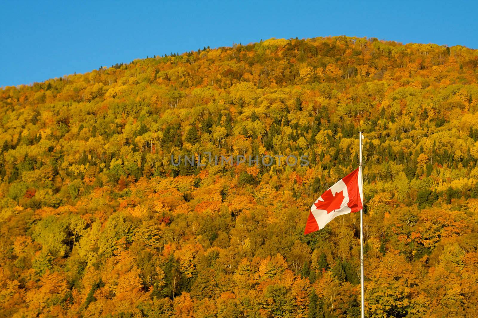 Canadian flag in a fall landscape