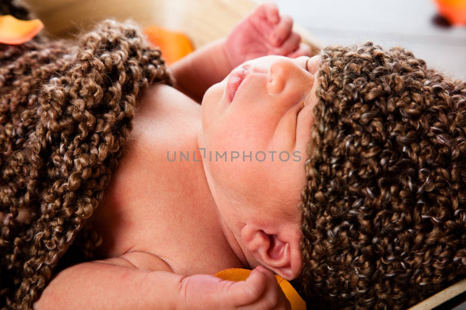 Newborn baby boy resting in a wool cocoon