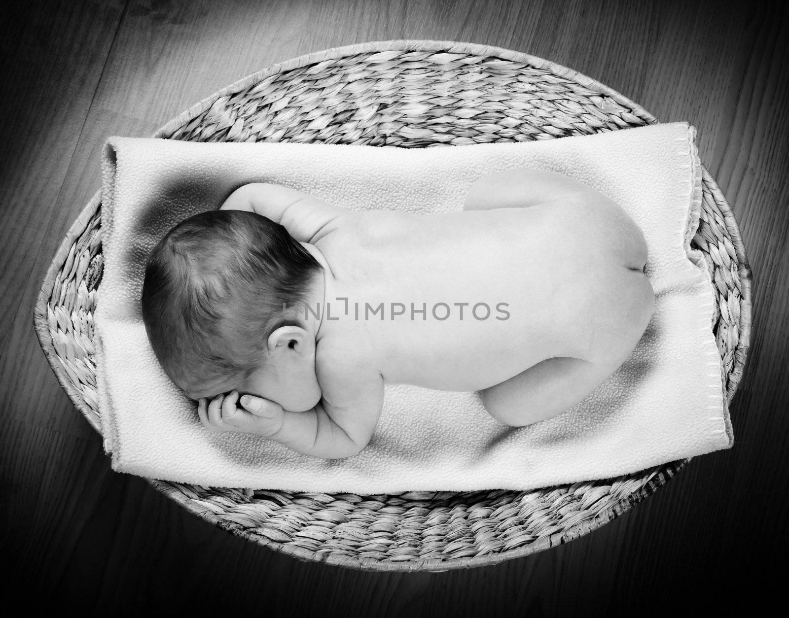 Naked newborn baby boy resting in a wicker basket